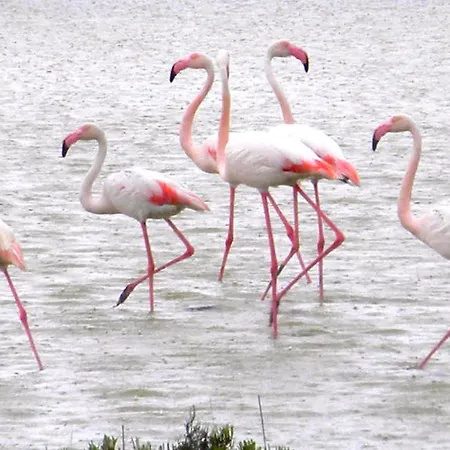 Casa rural Residenza Le Saline *