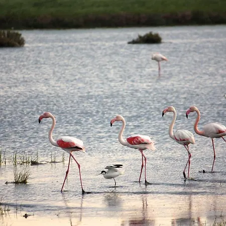 Residenza Le Saline Comacchio