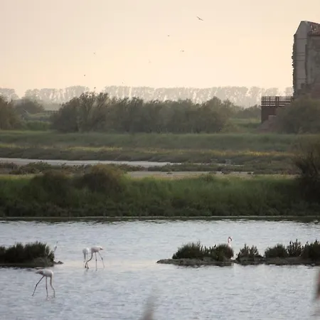 Residenza Le Saline カントリーハウス