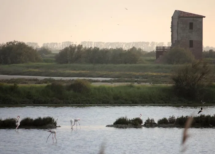 Residenza Le Saline カントリーハウス